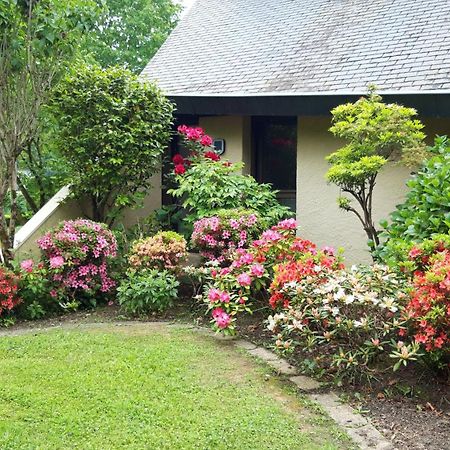 Jardin Des Chats Sevignacq-Meyracq Bagian luar foto