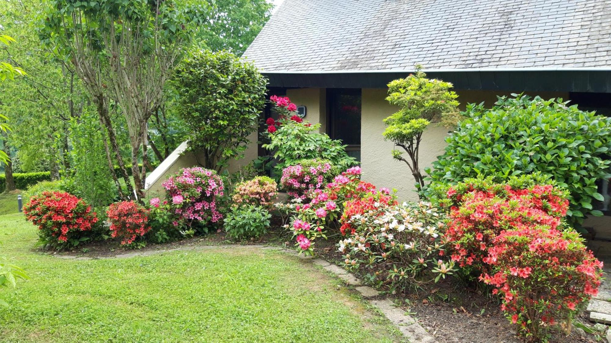 Jardin Des Chats Sevignacq-Meyracq Bagian luar foto
